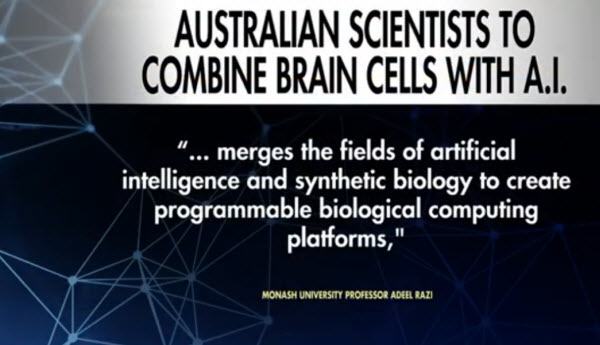 Australian-Scientists-to-Combine-Brain-cells-with-AI